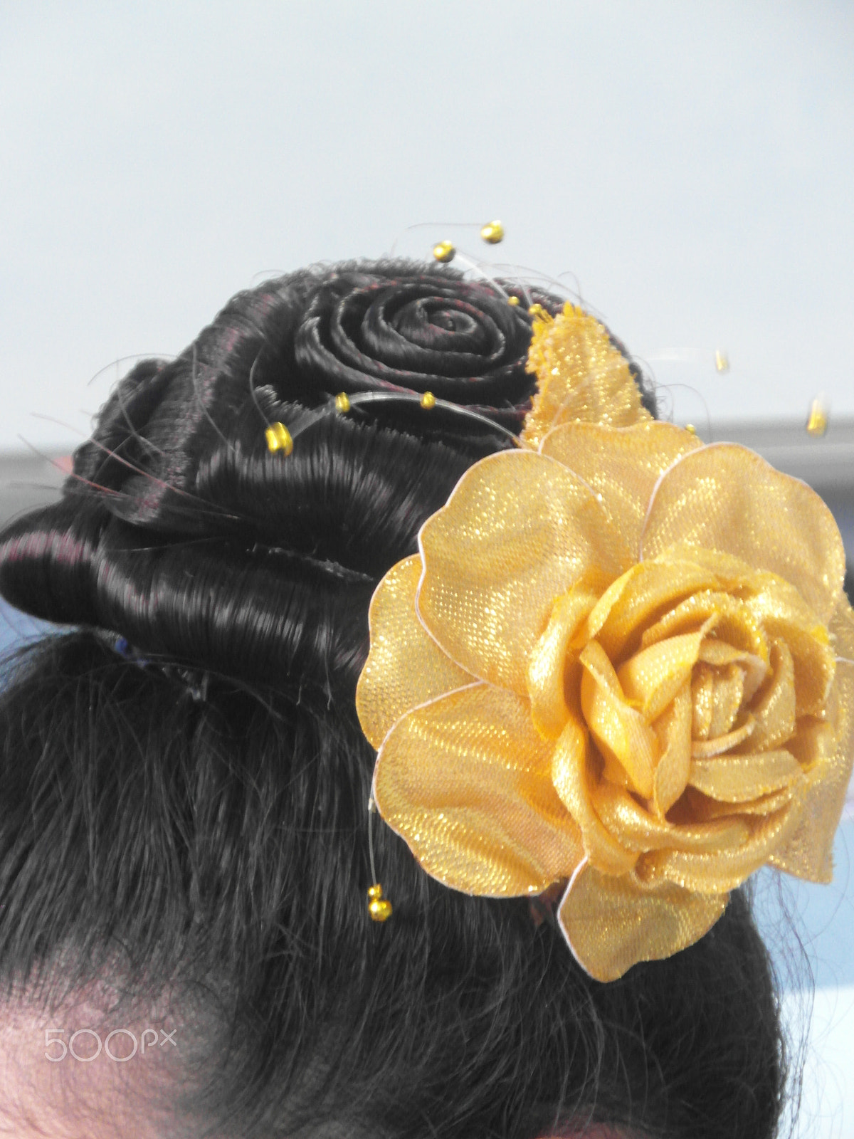 Samsung WB750 sample photo. Rose hair style design photography