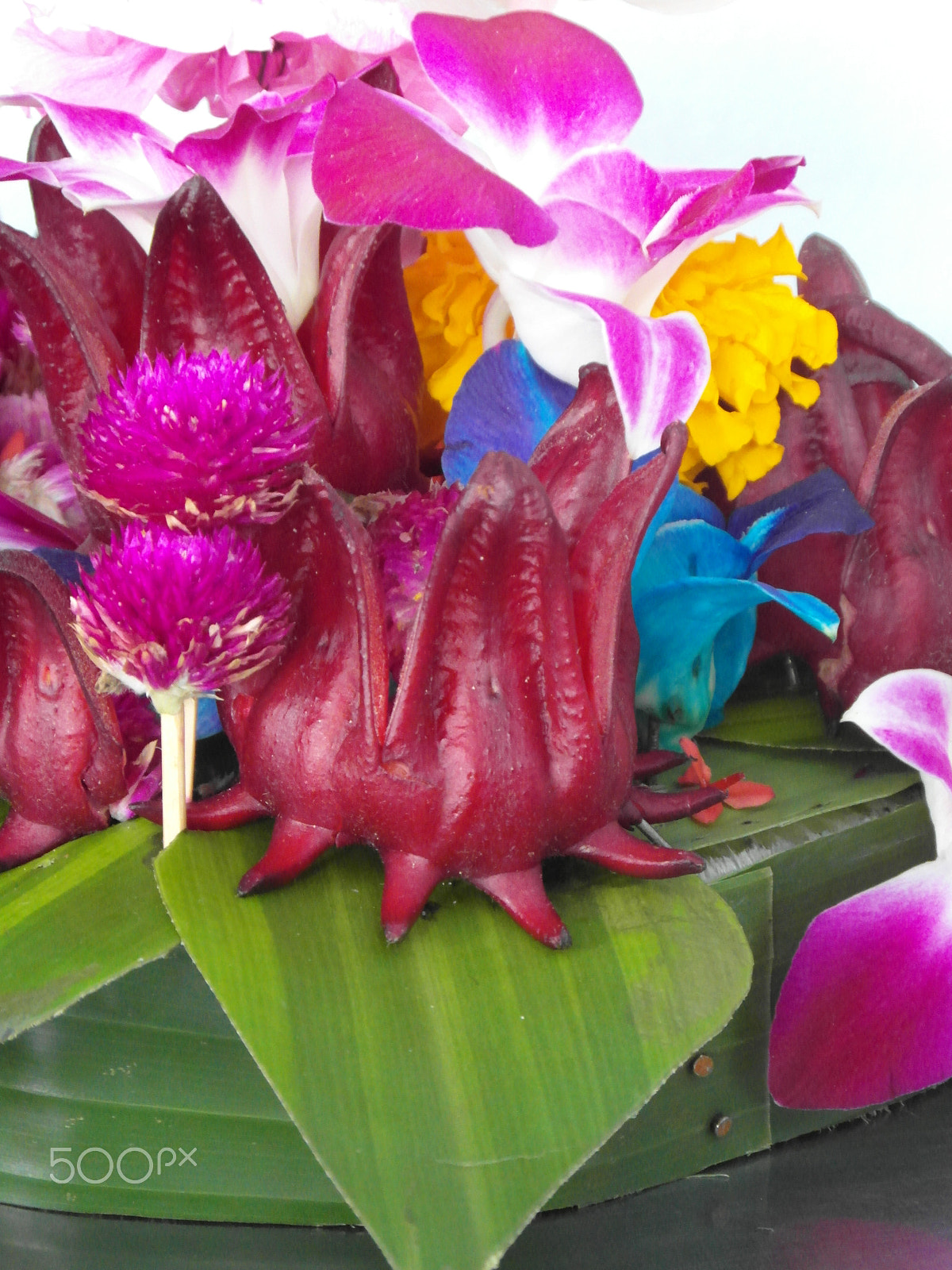 Samsung WB750 sample photo. Loy krathong festival photography