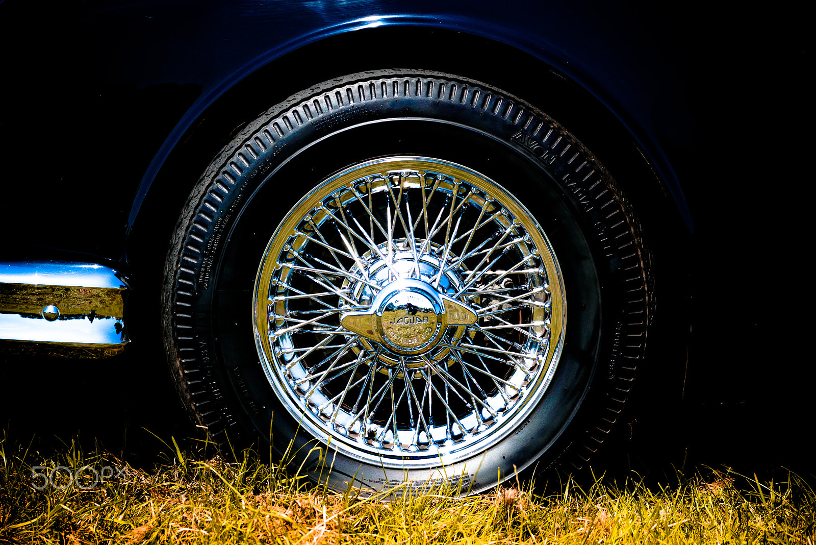 Sigma 105mm F2.8 EX DG OS HSM sample photo. Jaguar style photography