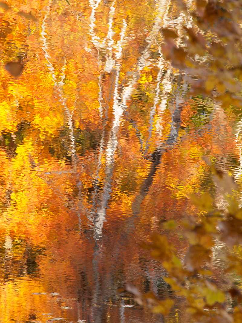 Olympus E-5 sample photo. Reflections photography