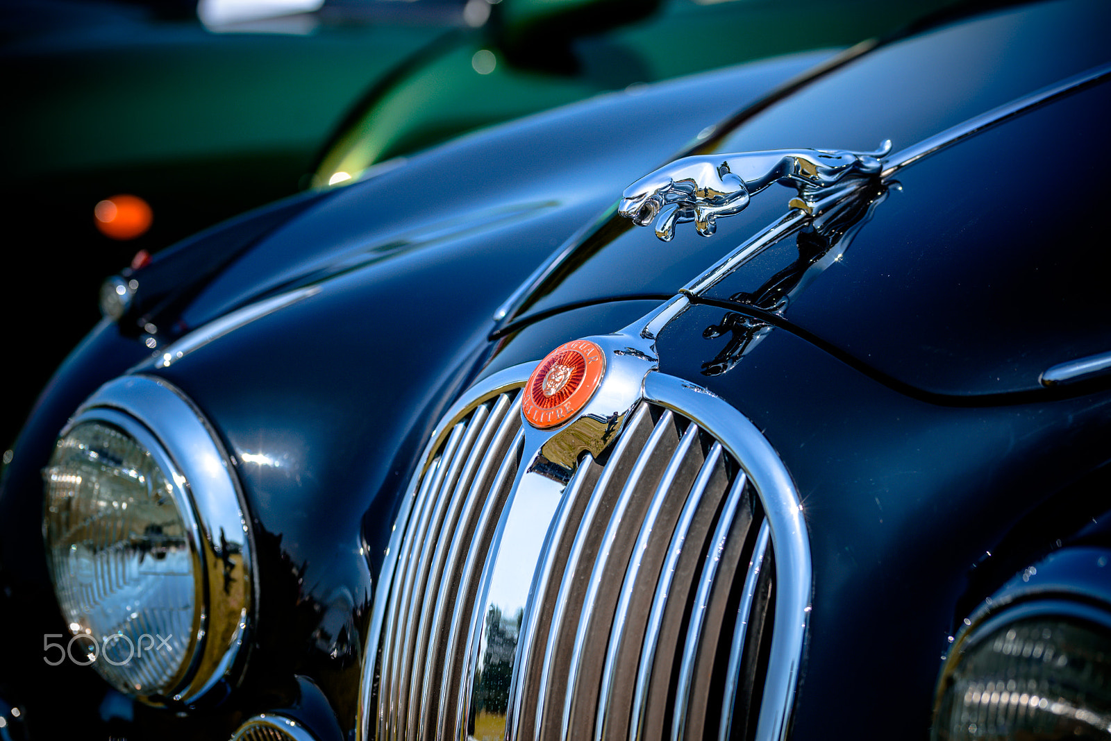 Sigma 105mm F2.8 EX DG OS HSM sample photo. Jaguar symbol photography