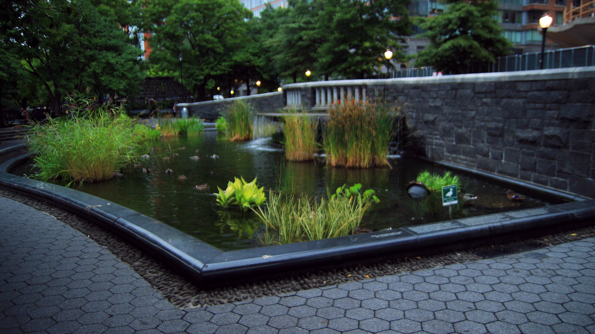 Tamron SP AF 17-50mm F2.8 XR Di II LD Aspherical (IF) sample photo. Nelson a. rockefeller park photography
