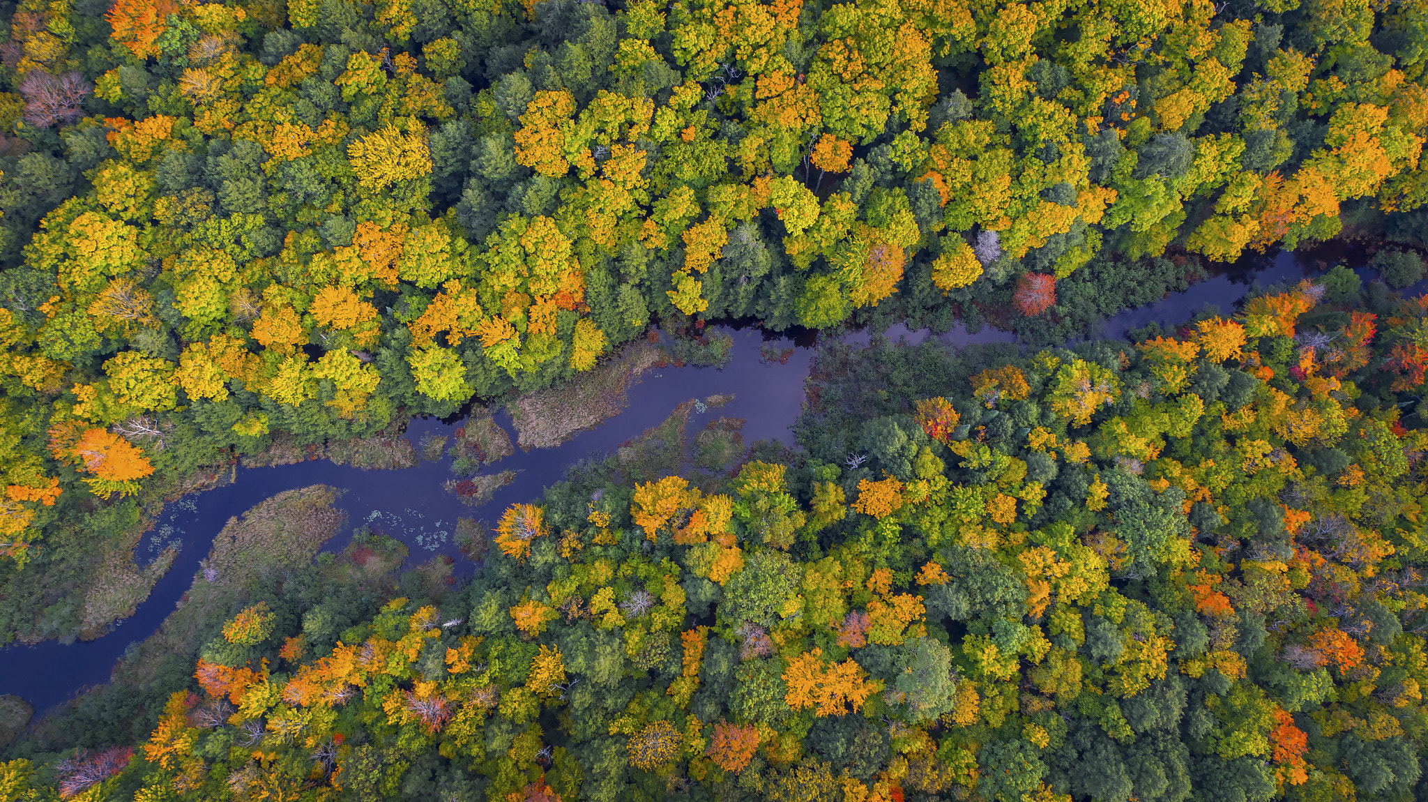 DJI FC550 + OLYMPUS M.12mm F2.0 sample photo. Bird's eye view photography