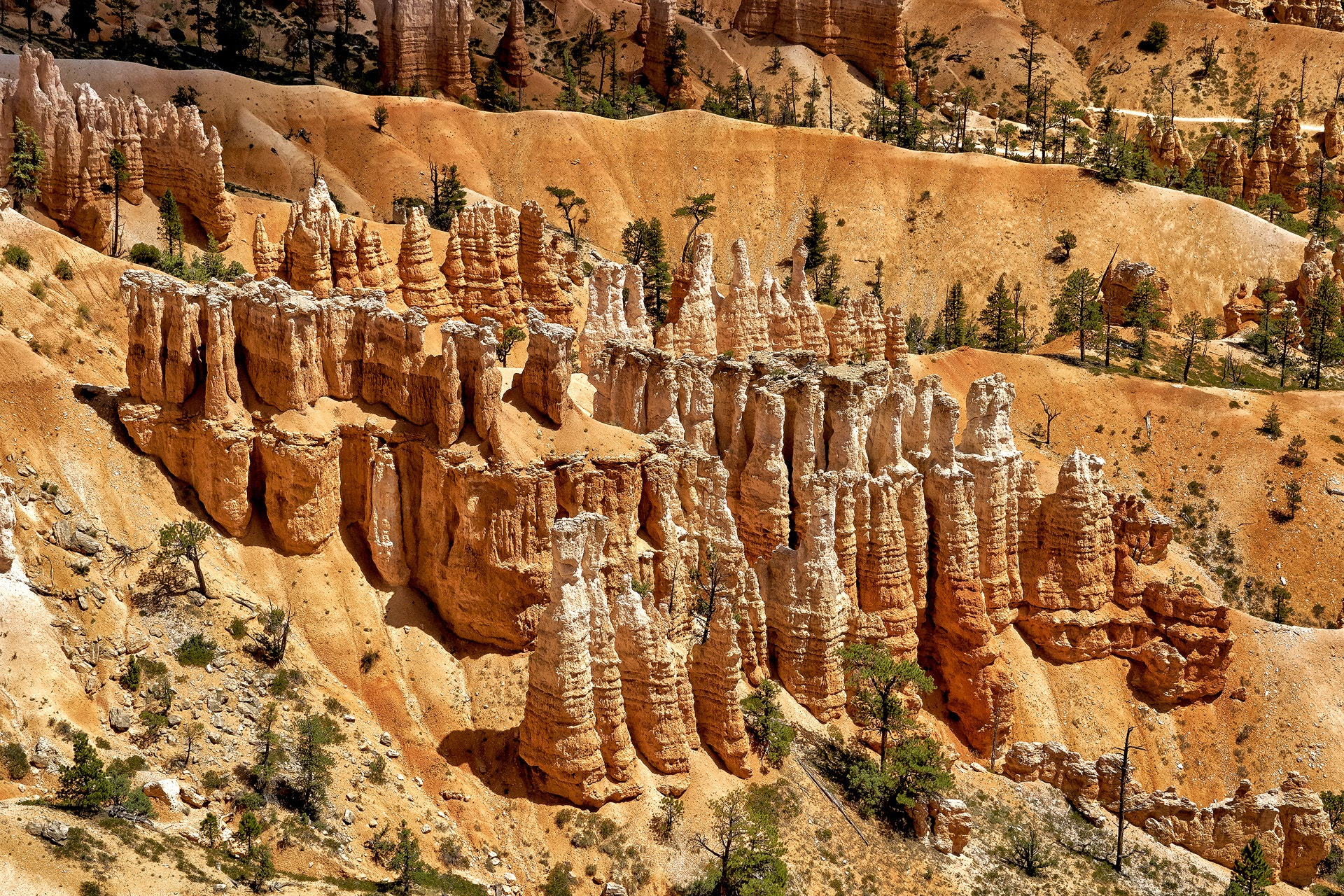 Sony a6300 + Sony FE 24-240mm F3.5-6.3 OSS sample photo. Hoodoos in bryce national park, sunset point photography