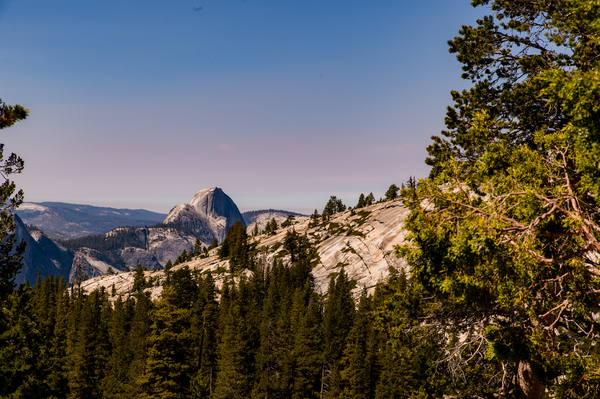 Nikon Df sample photo. Yosemite photography
