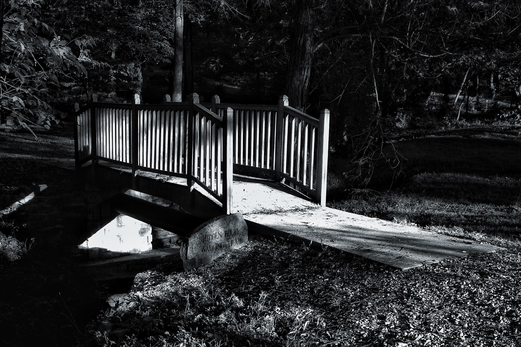 Canon EOS 1000D (EOS Digital Rebel XS / EOS Kiss F) sample photo. Footbridge at hidden bluff walking trail photography