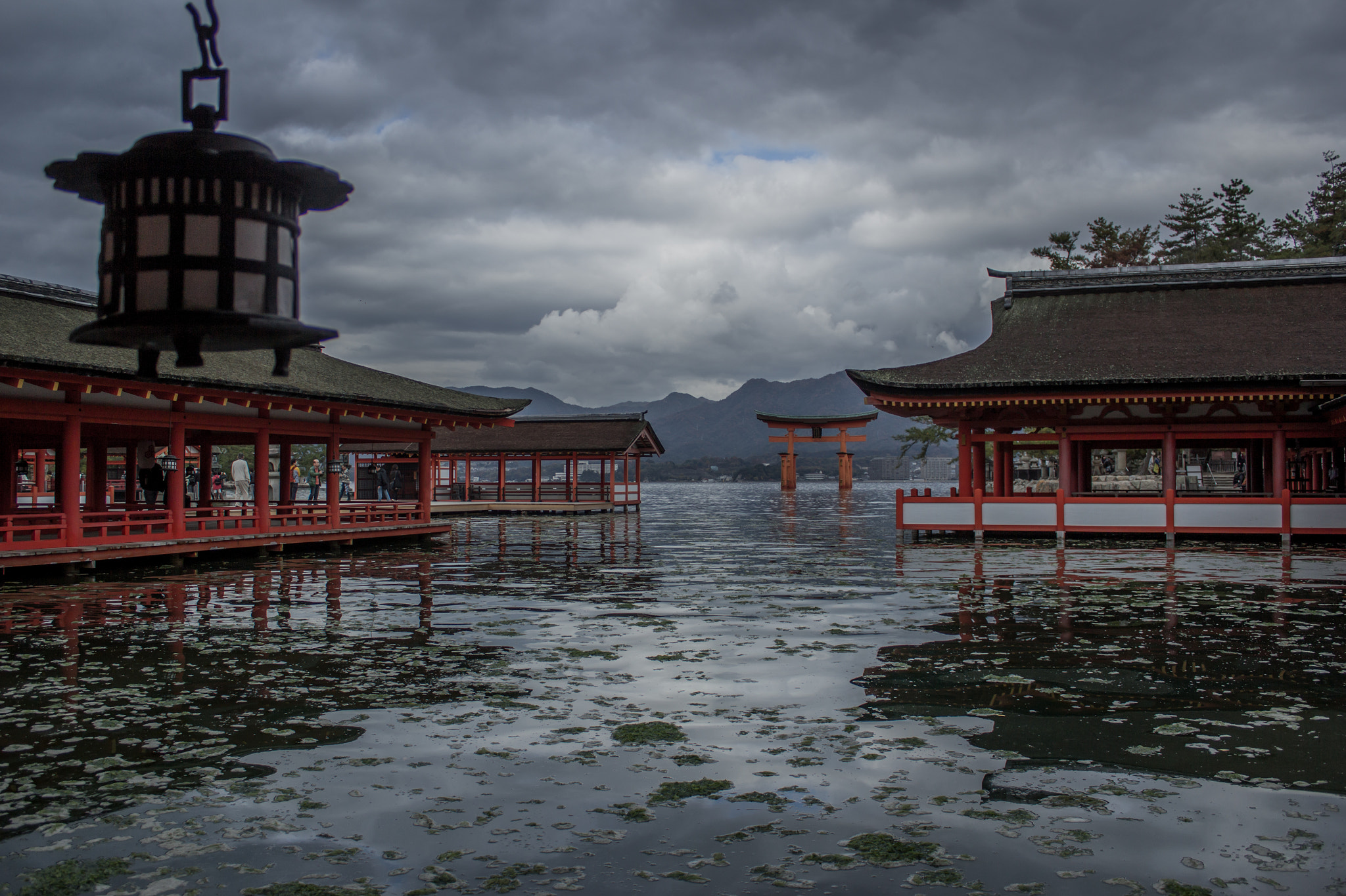 Canon EOS 550D (EOS Rebel T2i / EOS Kiss X4) sample photo. Itsukusima shrine　厳島神社 photography