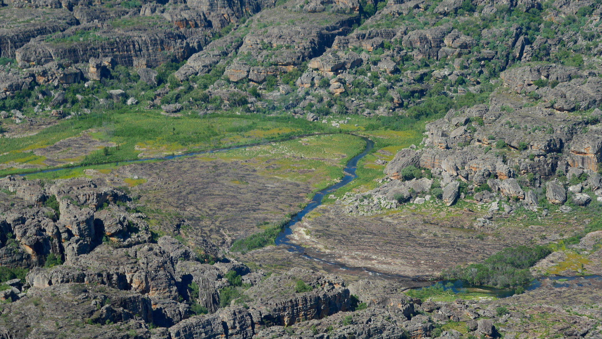Panasonic Lumix DMC-GX7 sample photo. Kakadu by plane winding stream photography