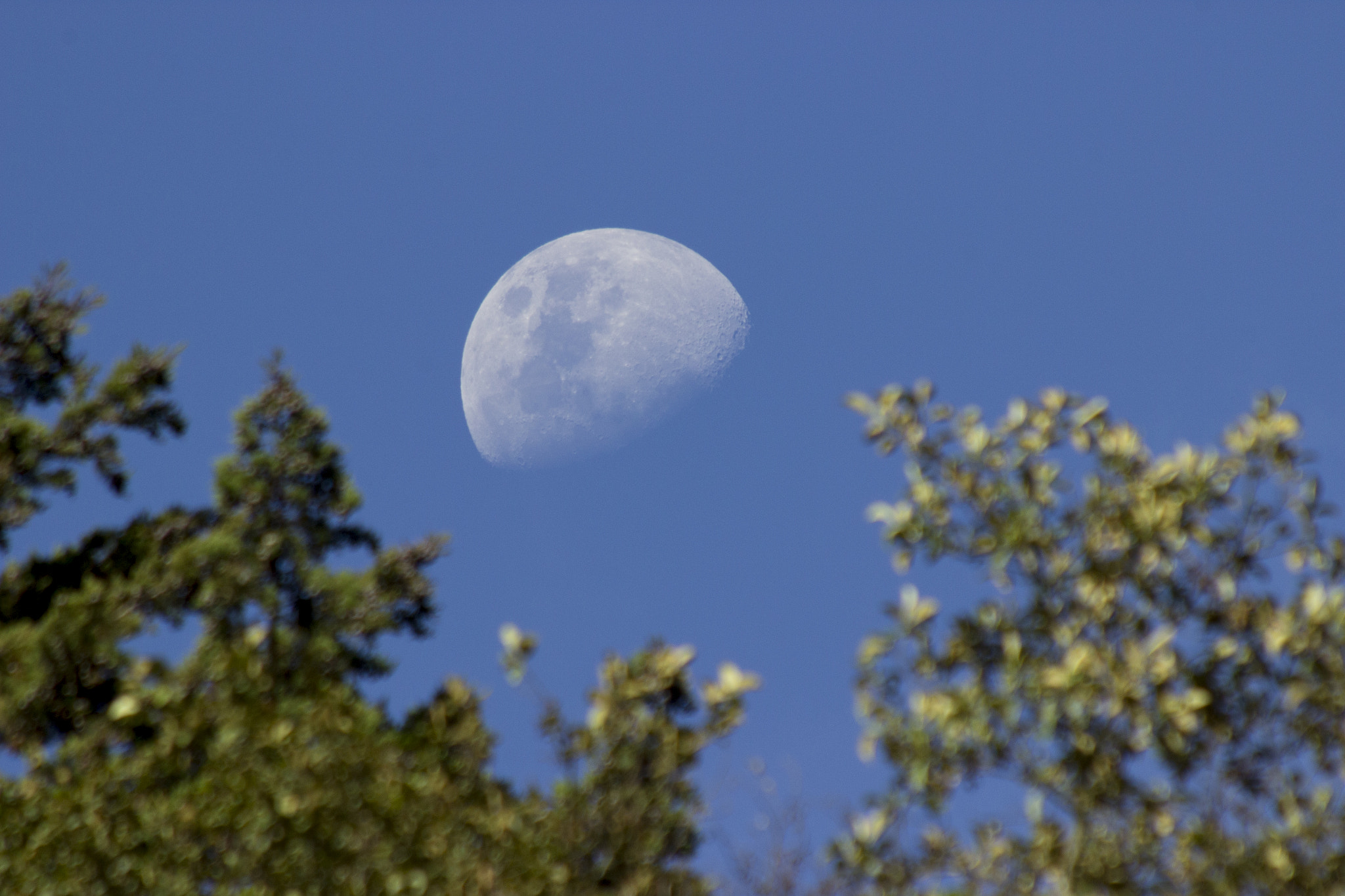 Canon EF 70-300mm F4-5.6 IS USM sample photo