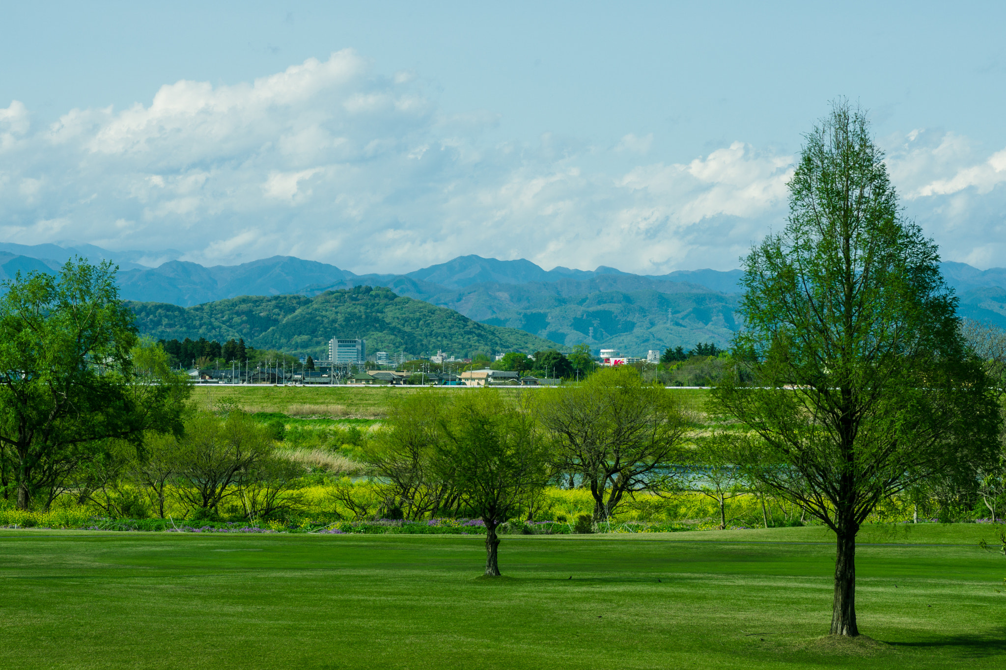 Pentax K-3 + Tamron SP AF 90mm F2.8 Di Macro sample photo. ** photography