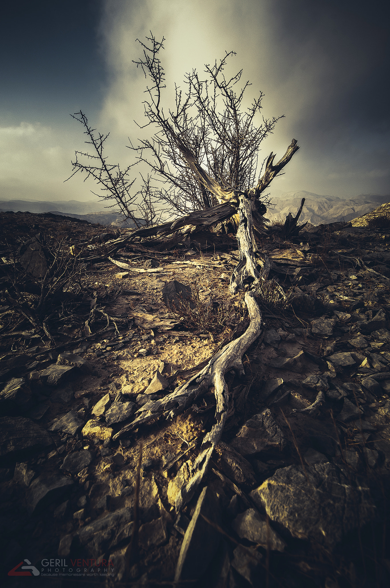 Nikon D300 sample photo. Saal photography