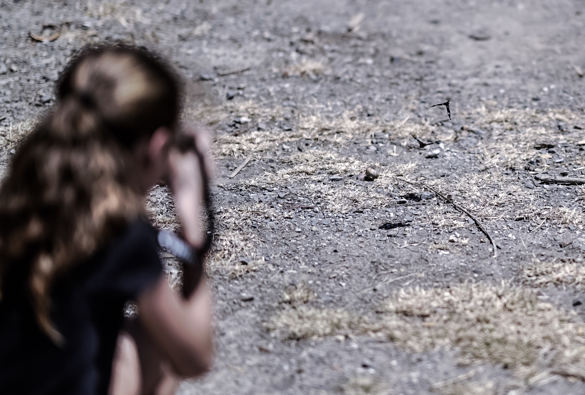 Sony a7S sample photo. Butterfly photo shoot. photography