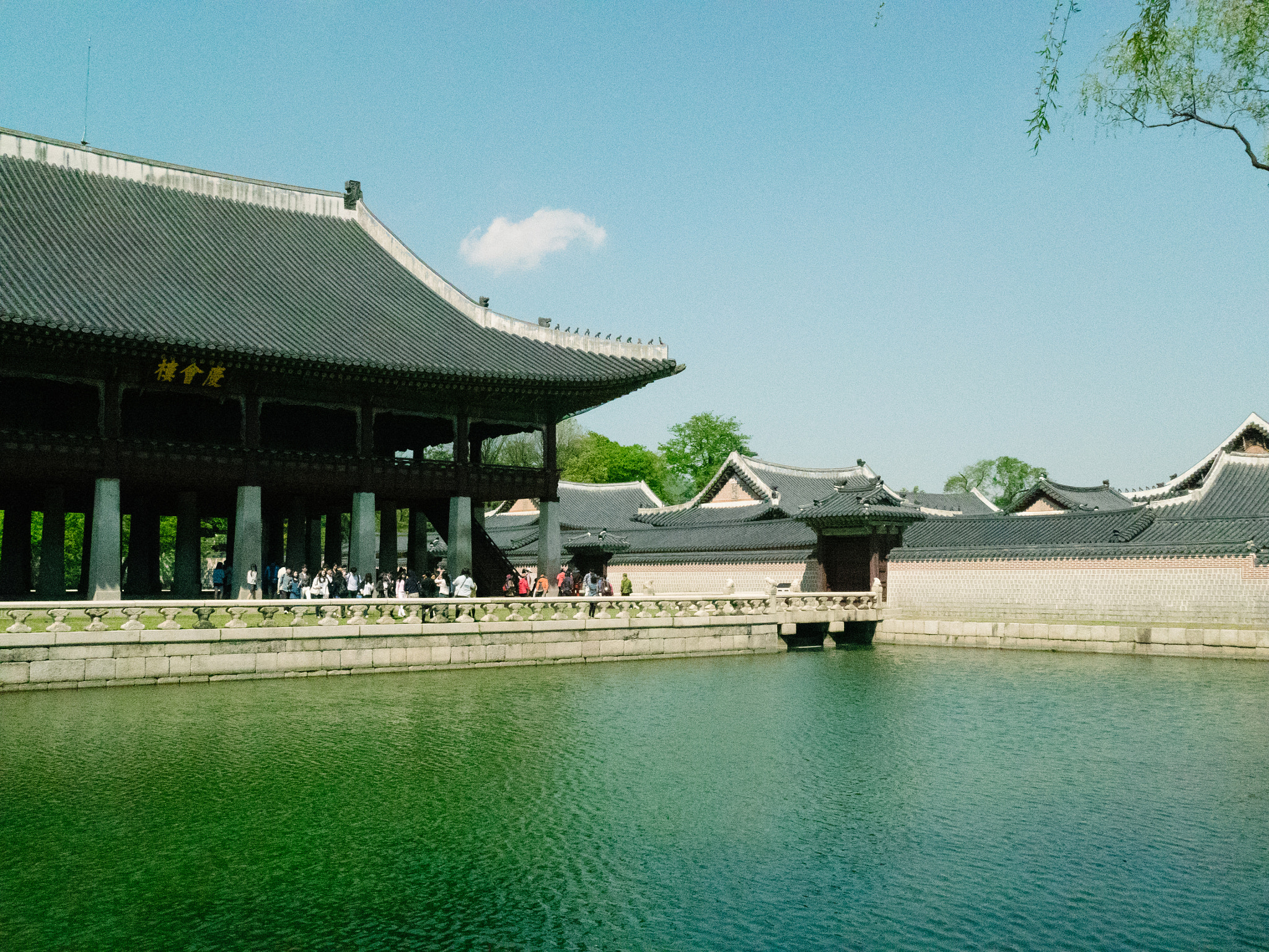 Panasonic Lumix DMC-GM1 sample photo. P photography