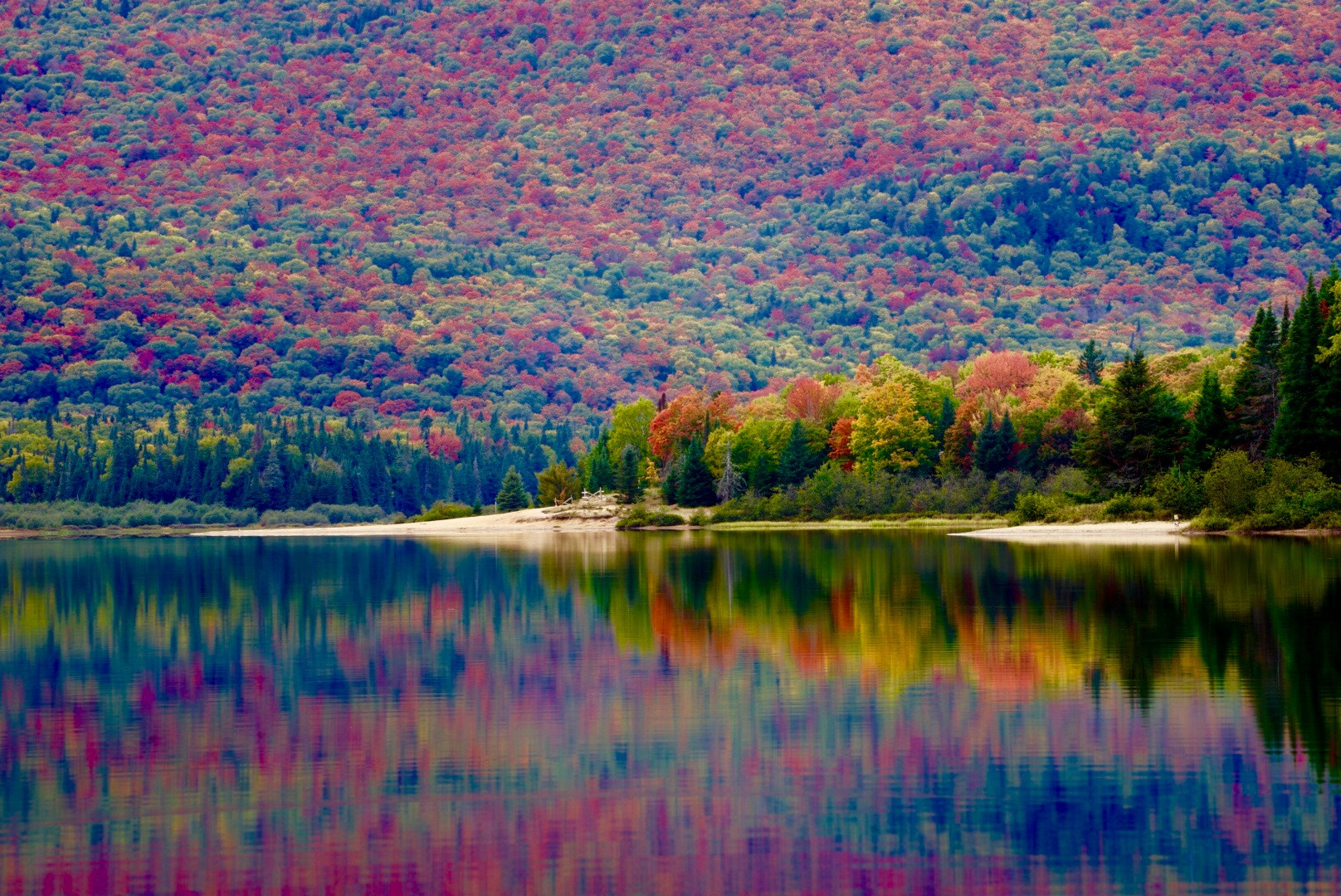 Sony a7 II + Sony FE 70-200mm F4 G OSS sample photo. Colorful autumn photography