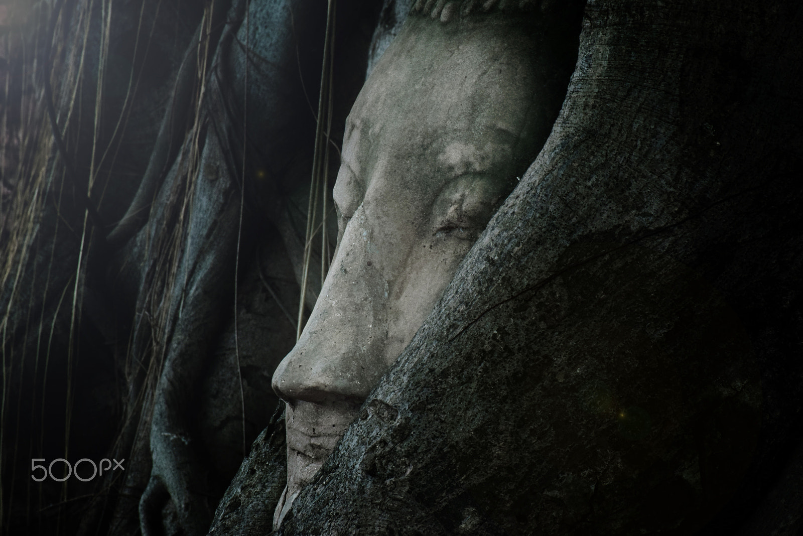 FSA-L2, EDG 65, 800mm F13 G sample photo. Buddha sleepy photography
