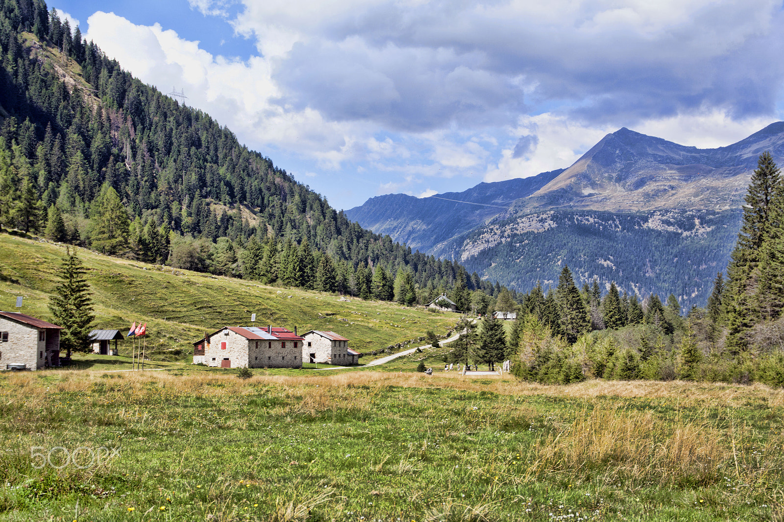Sigma 17-70mm F2.8-4 DC Macro OS HSM sample photo. Piumogna alm photography