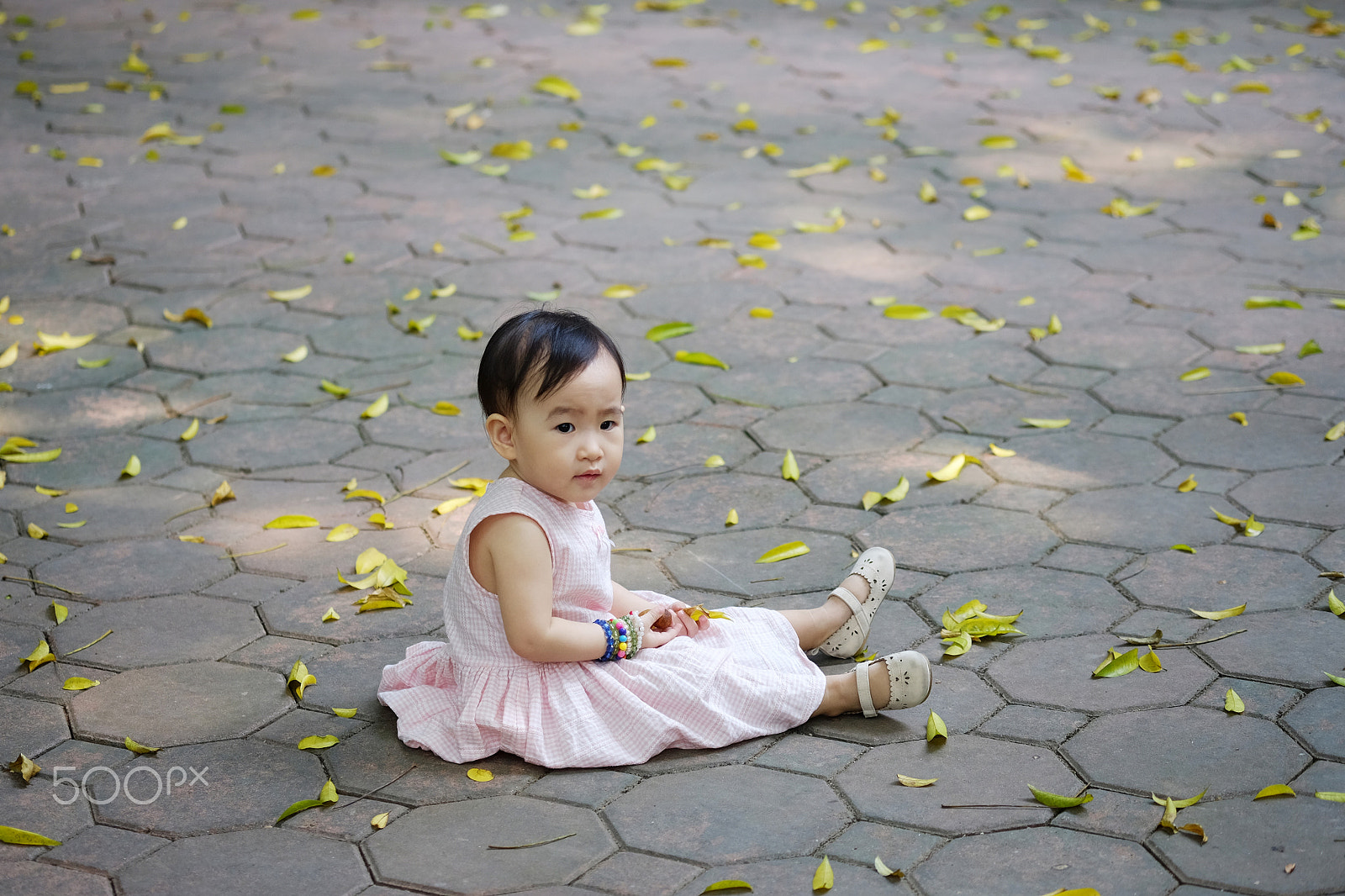 Fujifilm X-T10 + Fujifilm XF 60mm F2.4 R Macro sample photo. Girl playing with yellow leaves photography