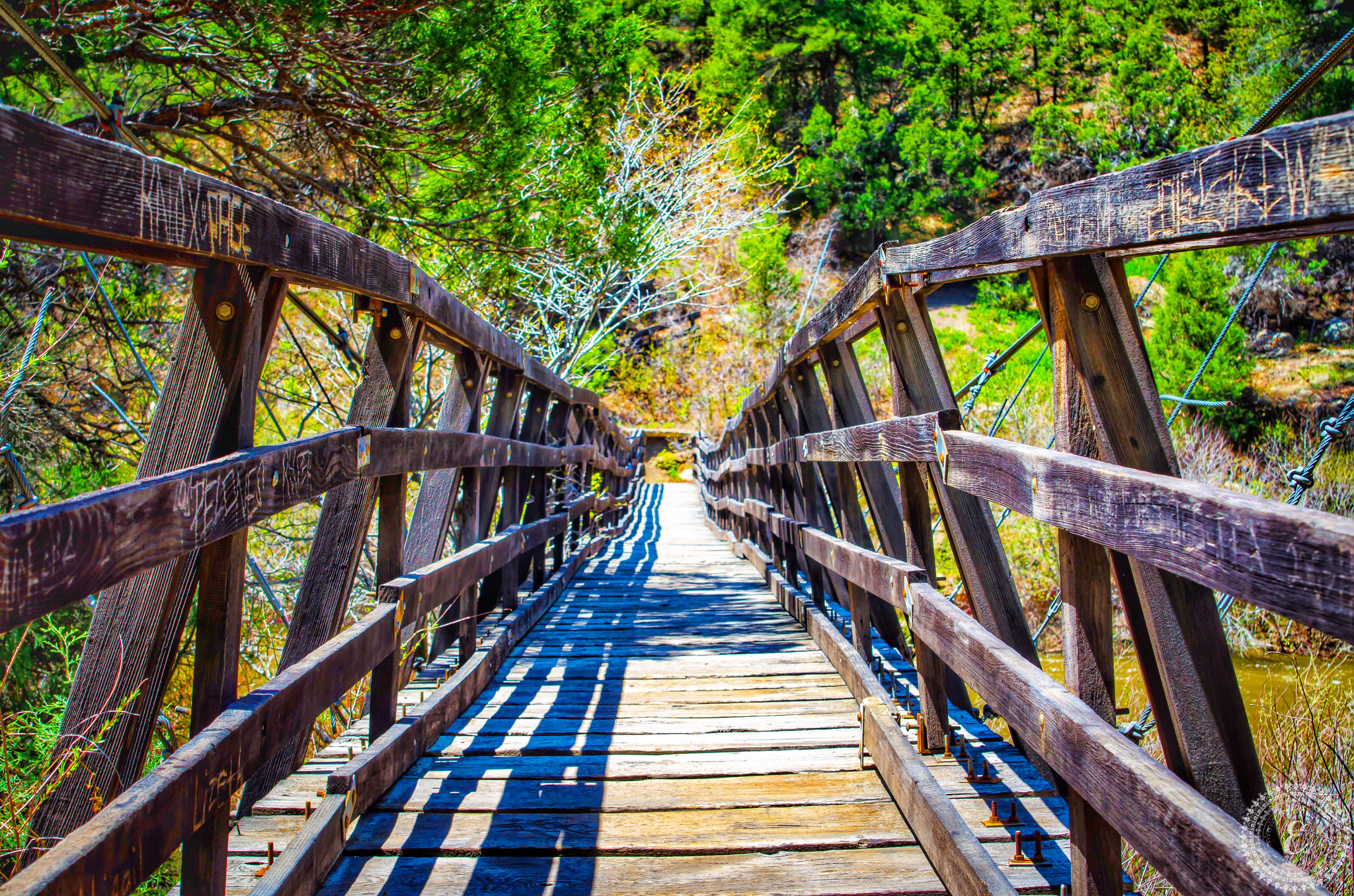 Nikon D7000 + Samyang 35mm F1.4 AS UMC sample photo. The swinging bridge photography