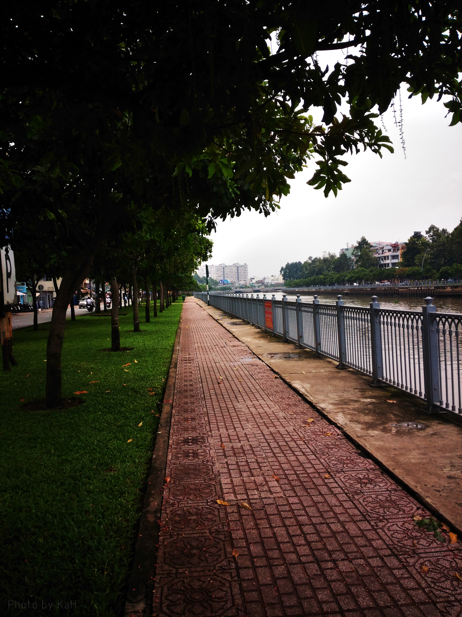 ASUS ZenFone Max (ZC550KL) sample photo. ... photography