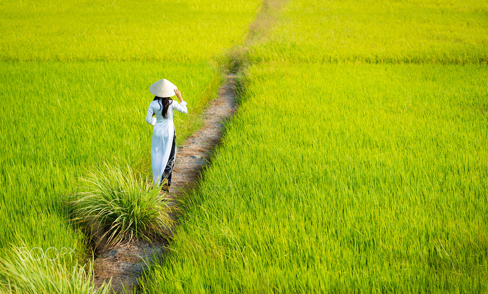 Minolta/Sony AF 70-200mm F2.8 G sample photo. 17 ao dai viet nam photography