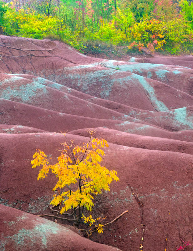 OLYMPUS DIGITAL 12-60mm Lens sample photo. The badlands, ontario photography