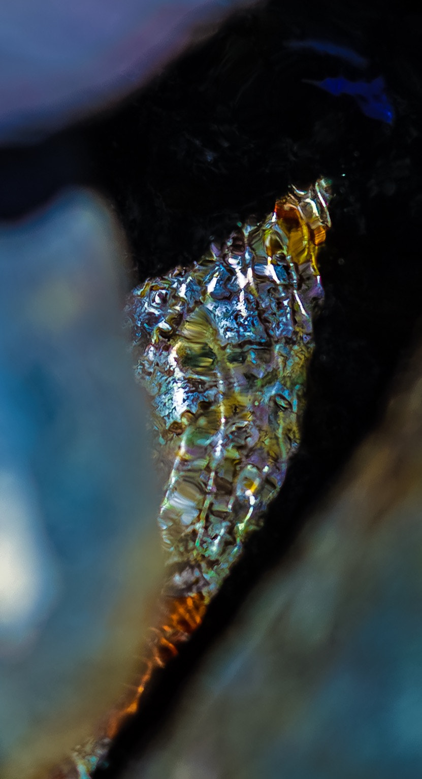 Sony FE 85mm F1.4 GM sample photo. Water hole, seaside photography