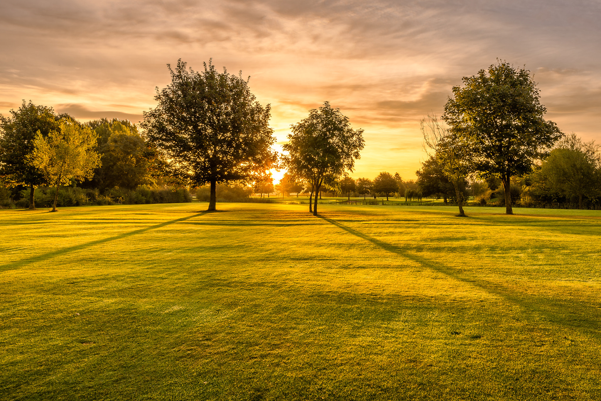 Nikon D610 + Sigma 12-24mm F4.5-5.6 II DG HSM sample photo. Peaking through photography