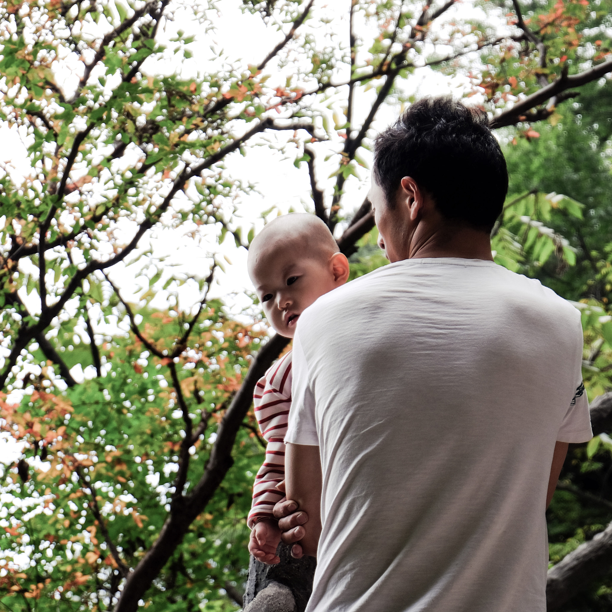 Fujifilm XC 16-50mm F3.5-5.6 OIS sample photo. Father's love photography