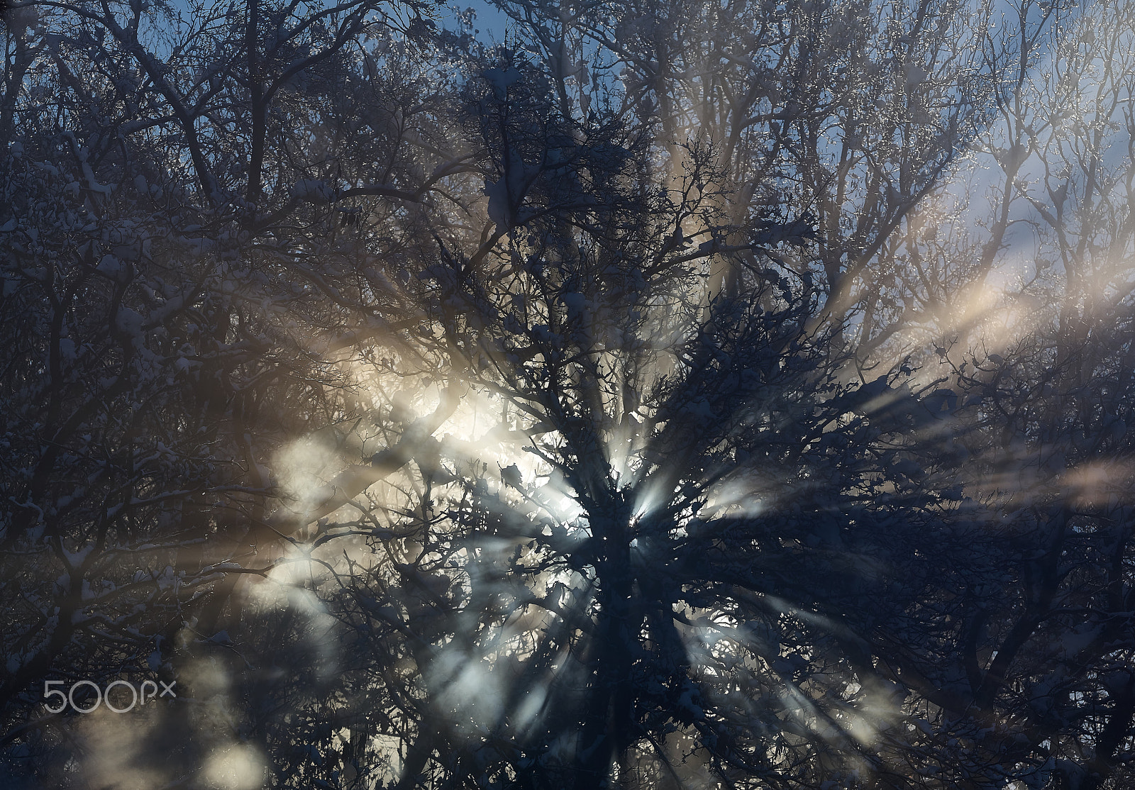Leica S (TYP 006) sample photo. Giochi di luce photography