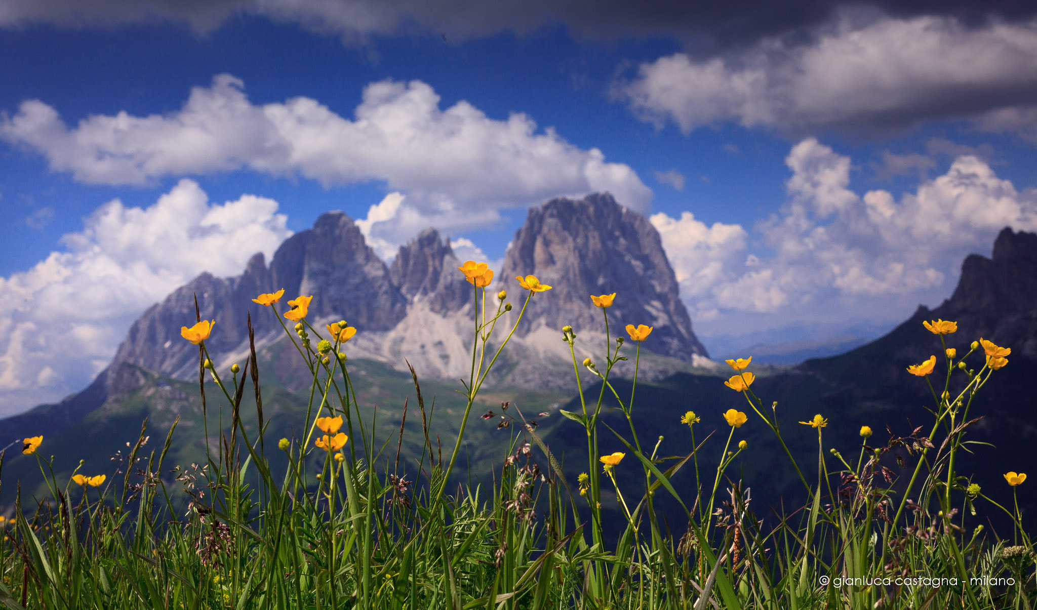 Canon EF 50mm F2.5 Macro sample photo. 288201307bvaldifassa-301 photography
