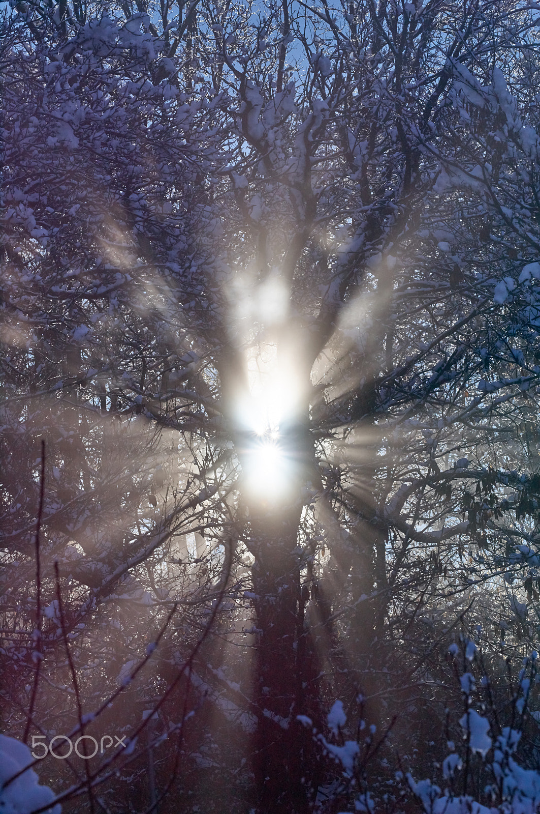 Leica S (TYP 006) sample photo. Giochi di luce photography