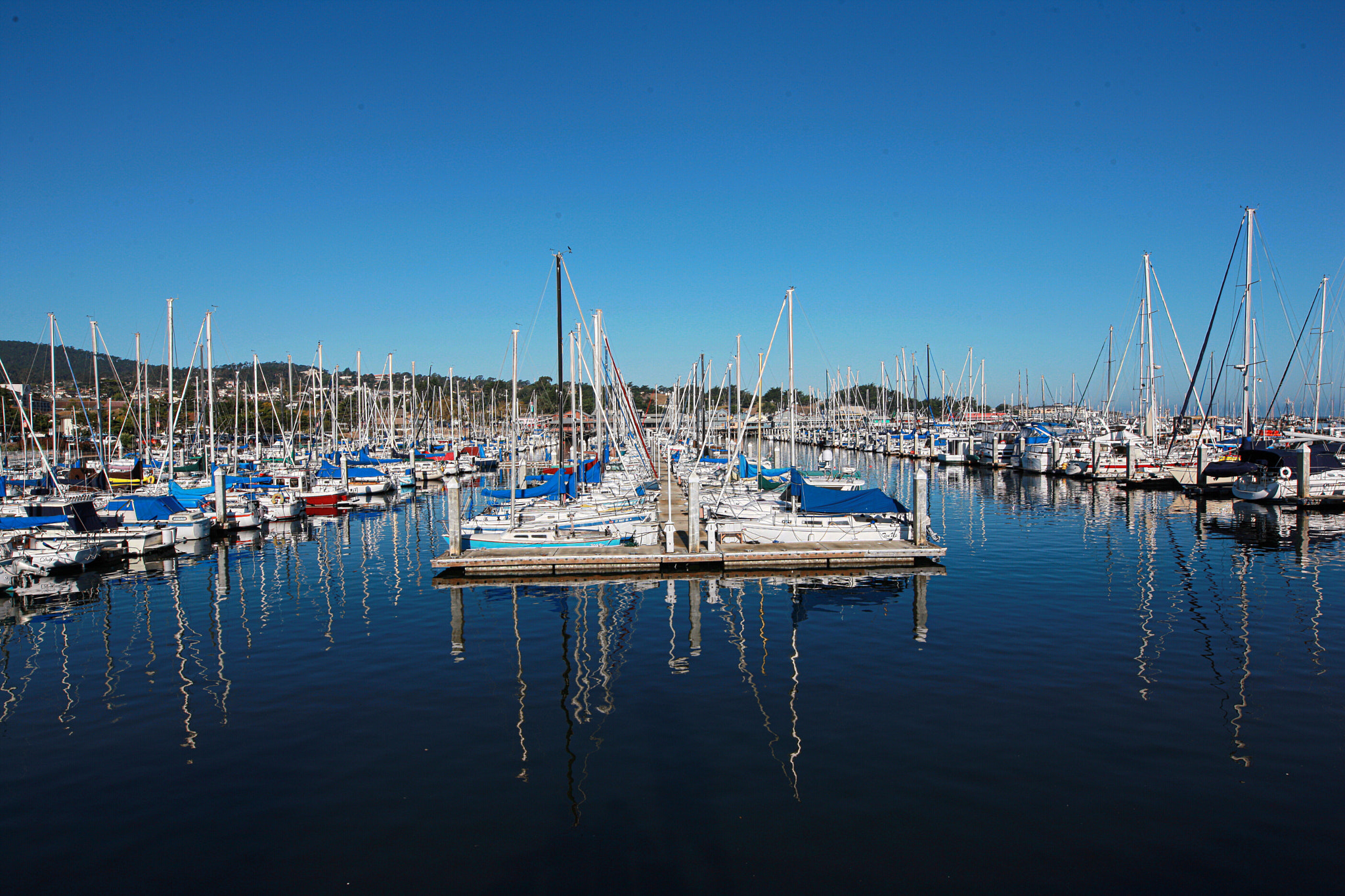 Canon 20mm F1.4 DG HSM | Art 015 sample photo