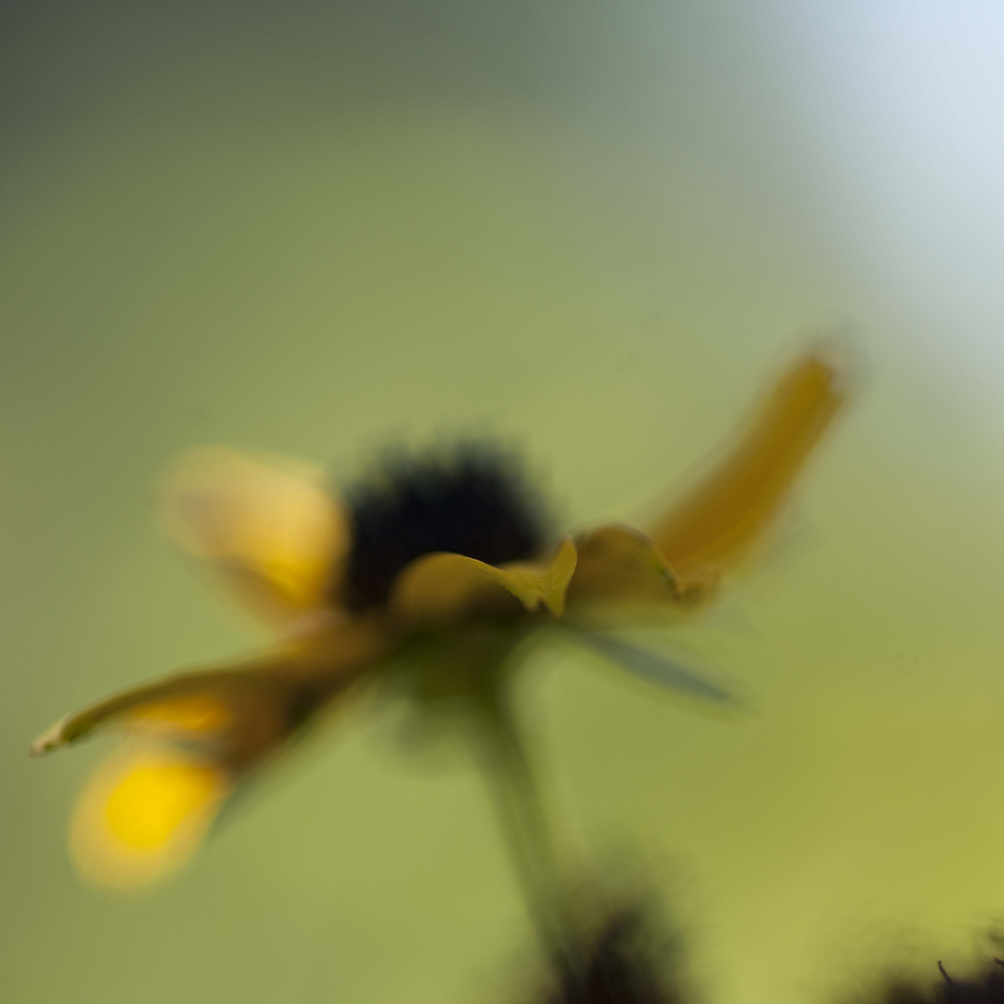 Nikon D3 sample photo