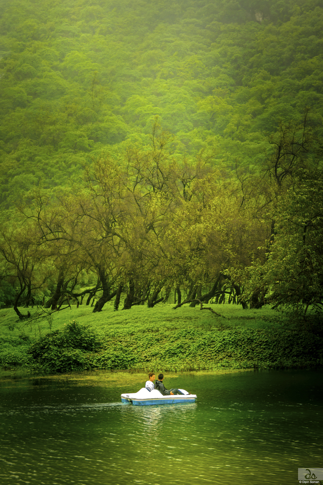 Sigma 18-250mm F3.5-6.3 DC OS HSM sample photo. Love and love only photography