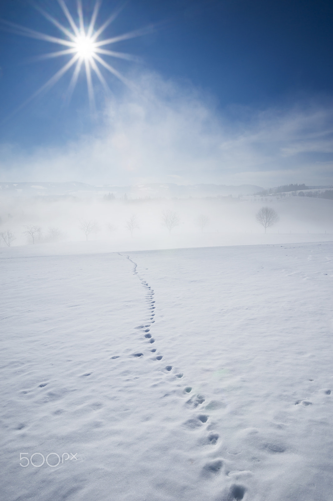 Minolta AF 17-35mm F3.5 G sample photo. Winter in the black forest photography