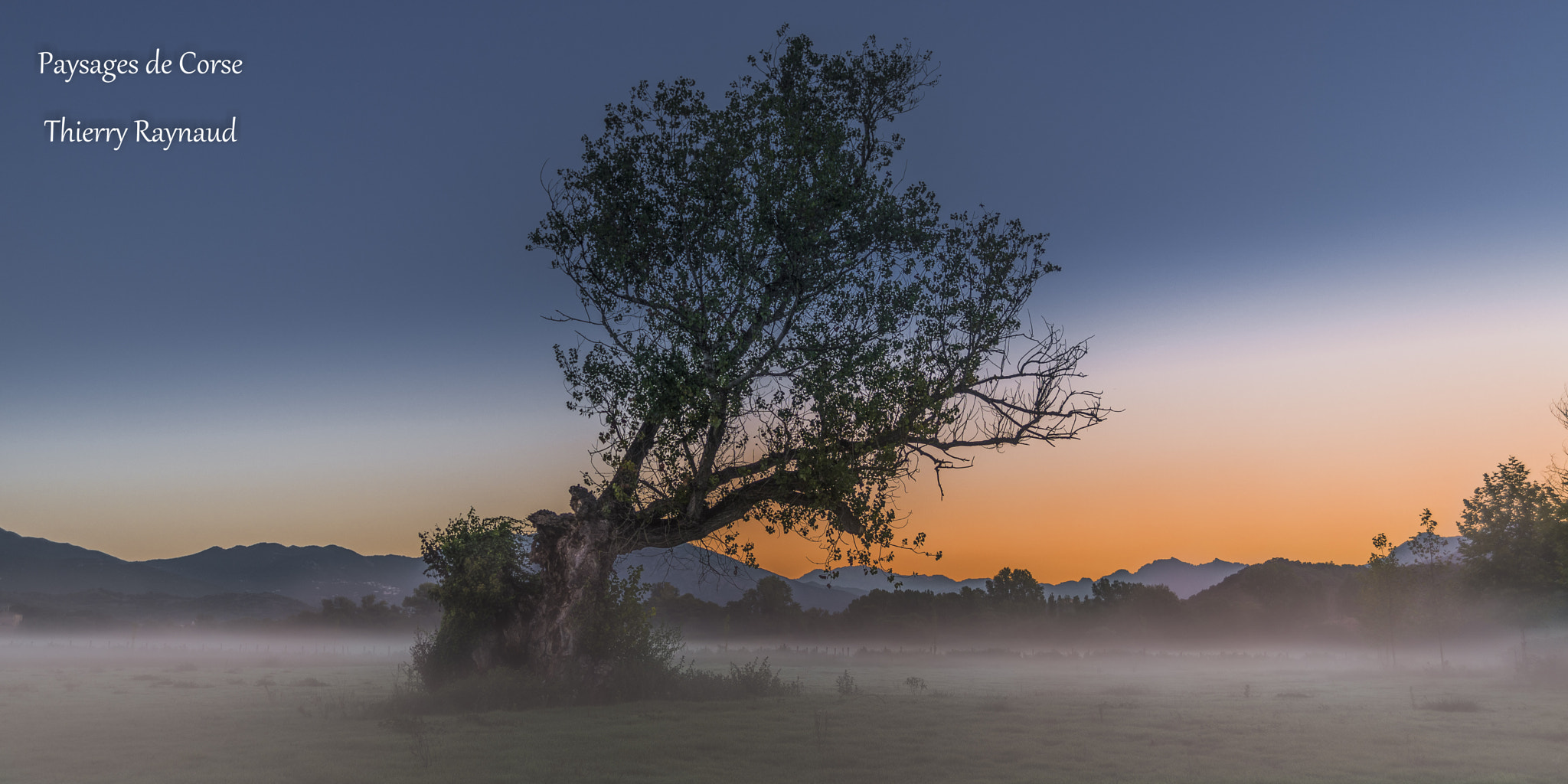 Nikon D600 sample photo. Petit matin photography