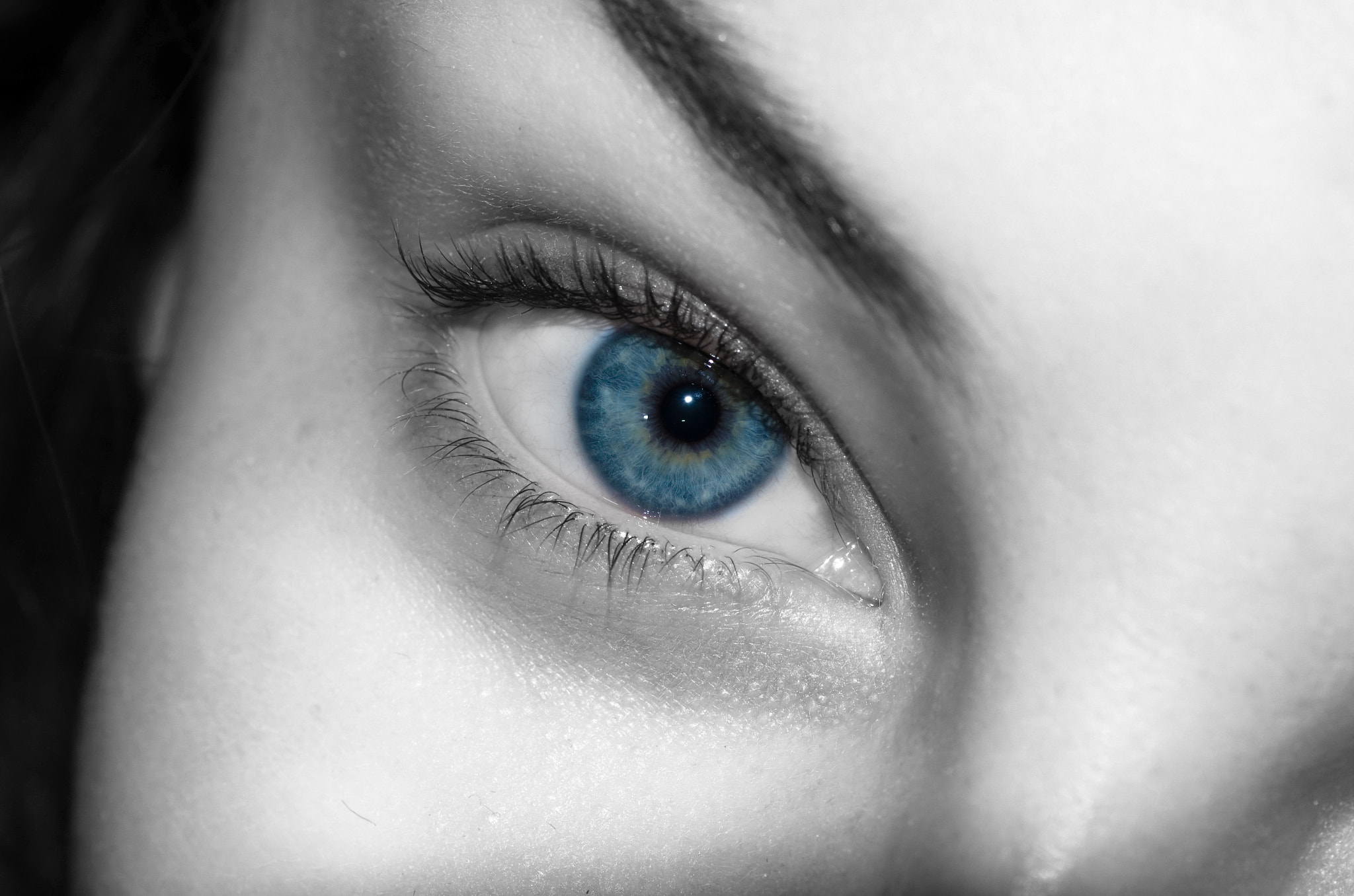 Pentax K-5 + Tamron SP AF 90mm F2.8 Di Macro sample photo. Blue eye photography