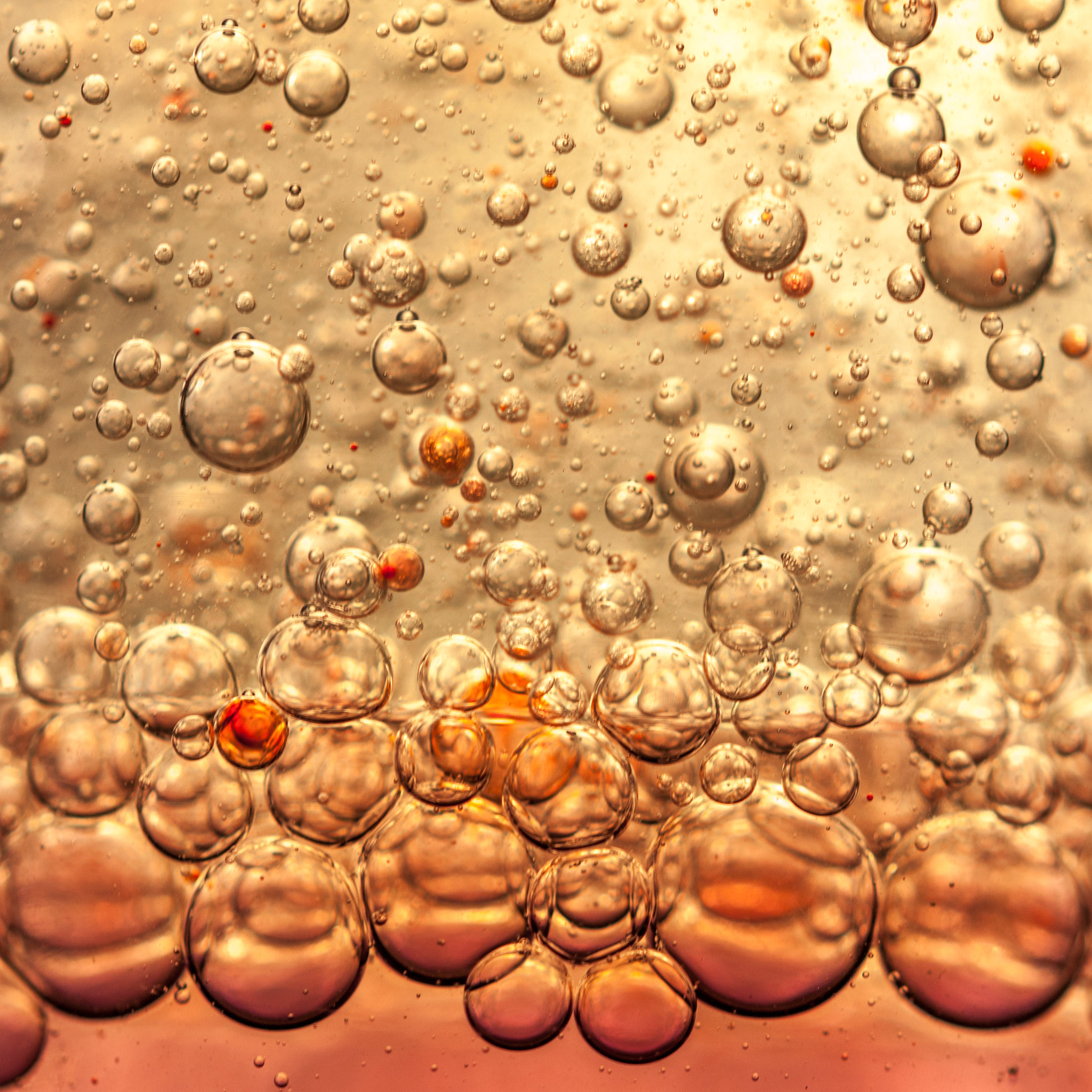 Sigma 105mm F2.8 EX DG OS HSM sample photo. 123/365: oil and water just don't mix photography