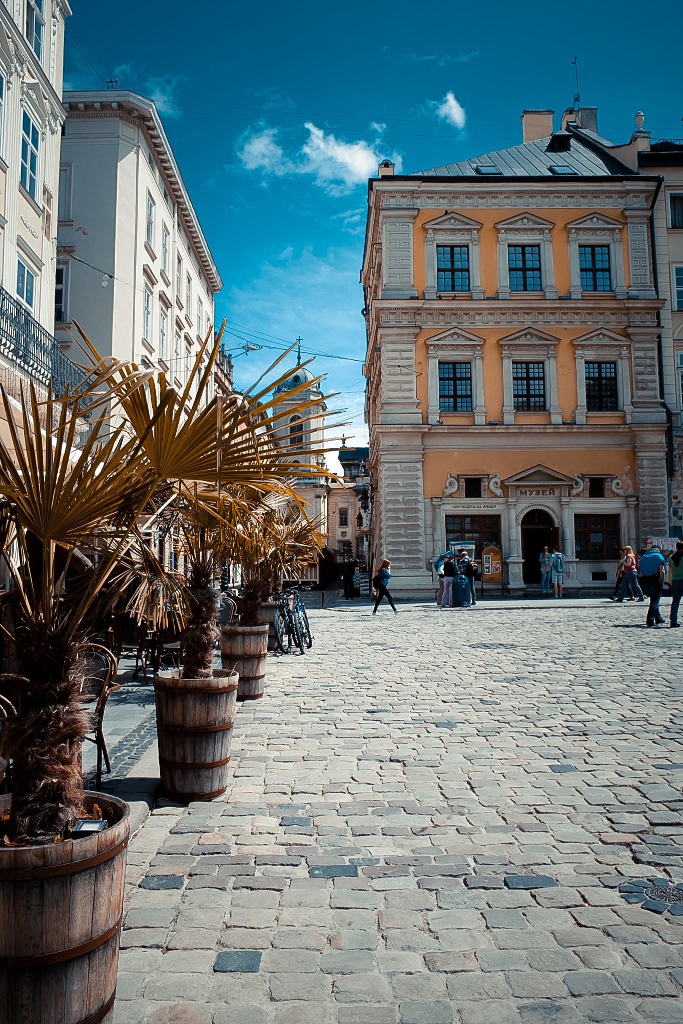 Sigma DP1 sample photo. Lviv area photography