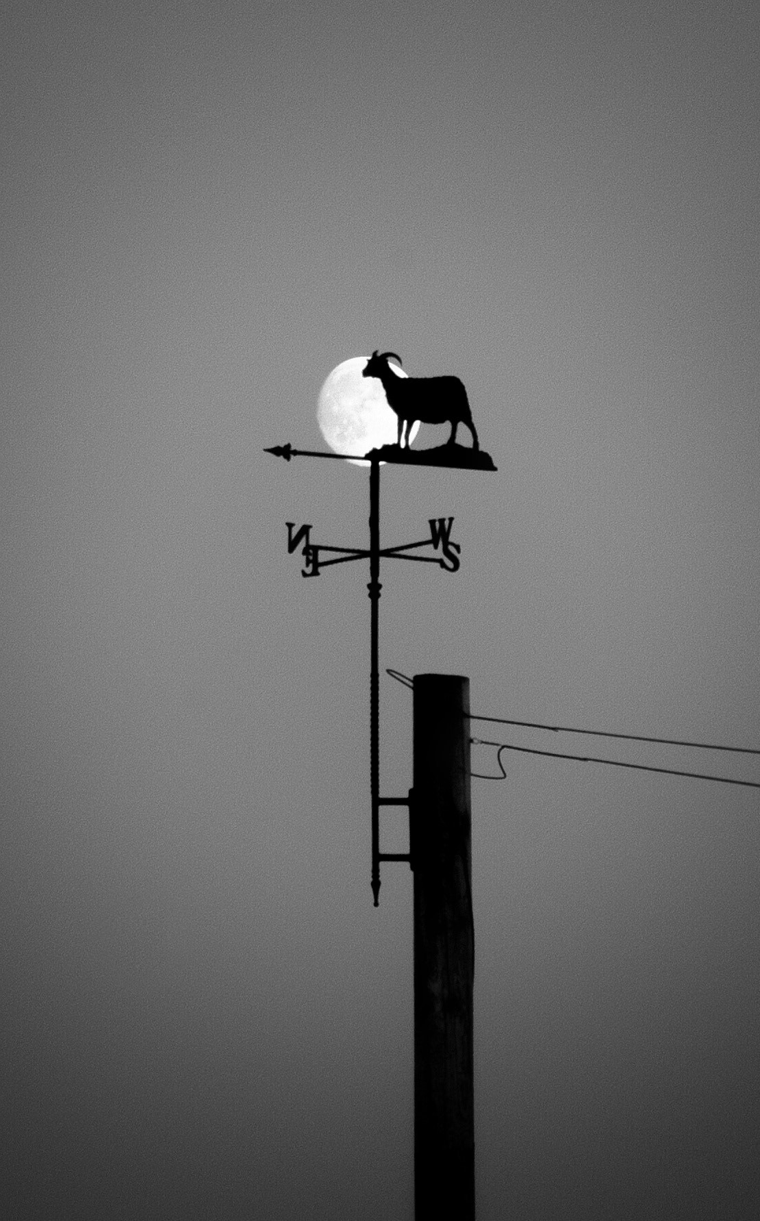 Canon EOS 100D (EOS Rebel SL1 / EOS Kiss X7) sample photo. Weathervane and moon photography