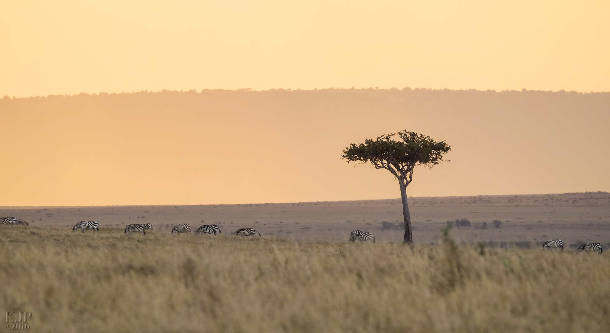 Fujifilm XF 100-400mm F4.5-5.6 R LM OIS WR sample photo. Maasai sunset photography
