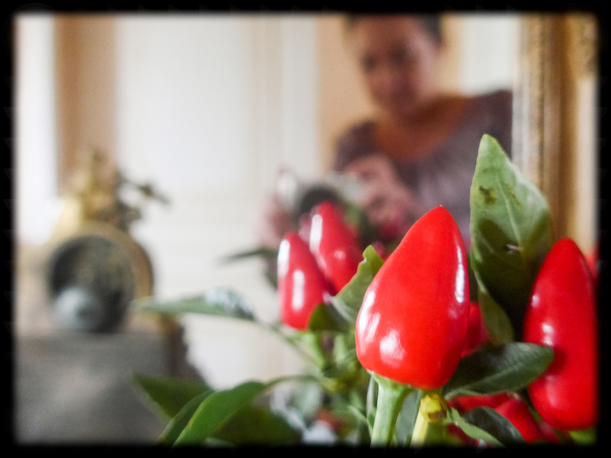 Leica C (Typ 112) sample photo. Pepper and i photography