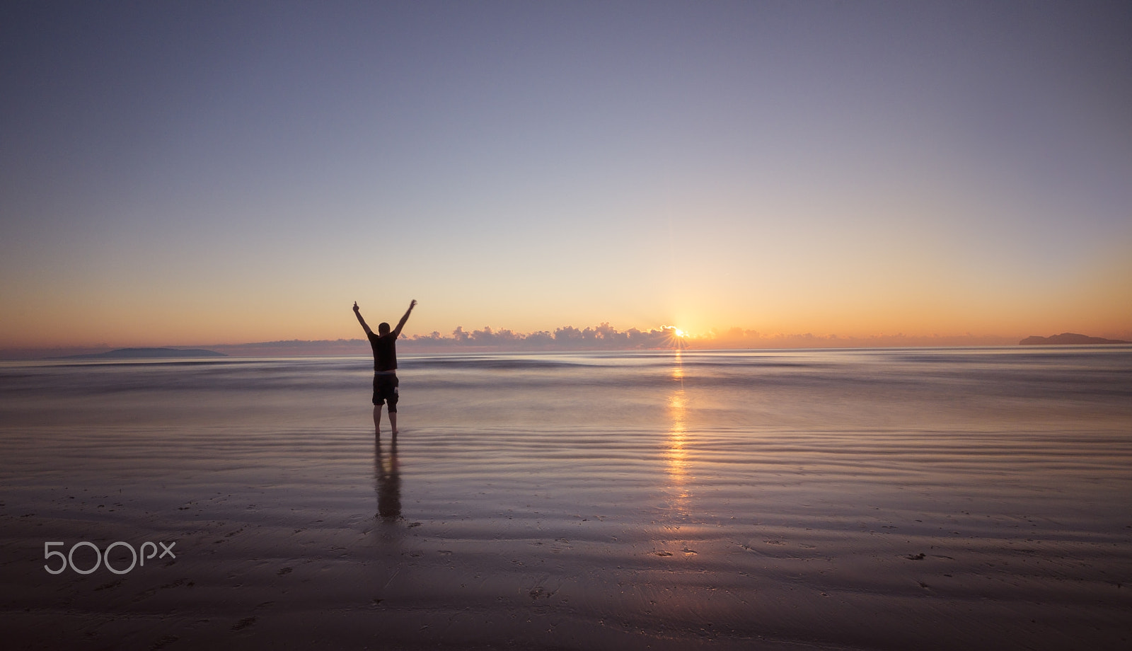 Sony a99 II + Sony Vario-Sonnar T* 16-35mm F2.8 ZA SSM sample photo. Good morning my big friend. photography