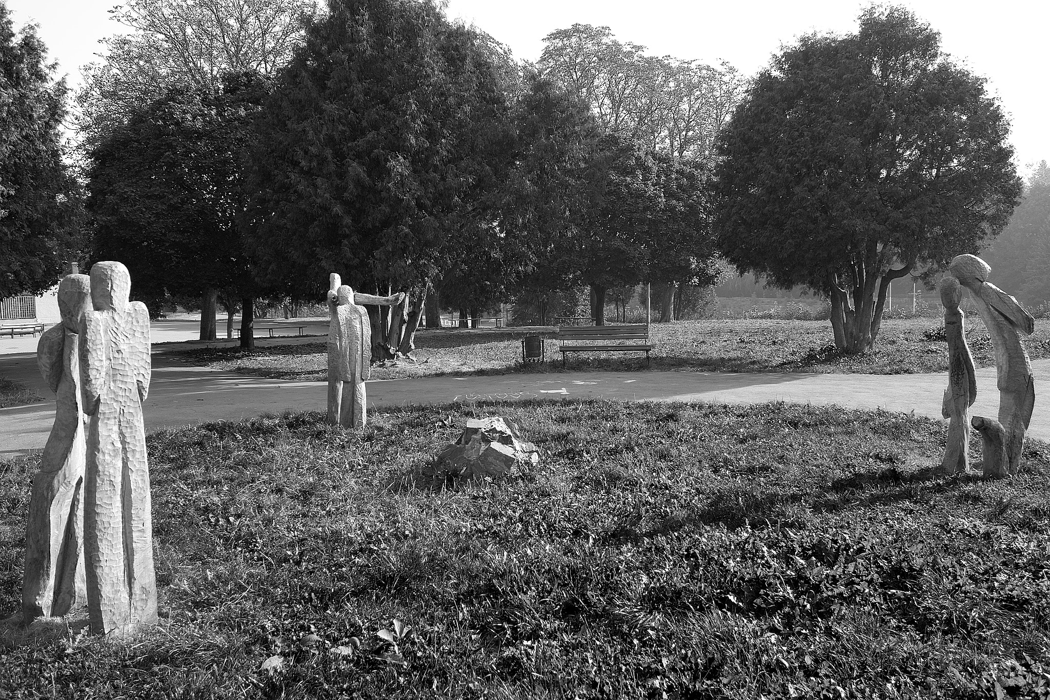 Sigma DP1 sample photo. Park photography