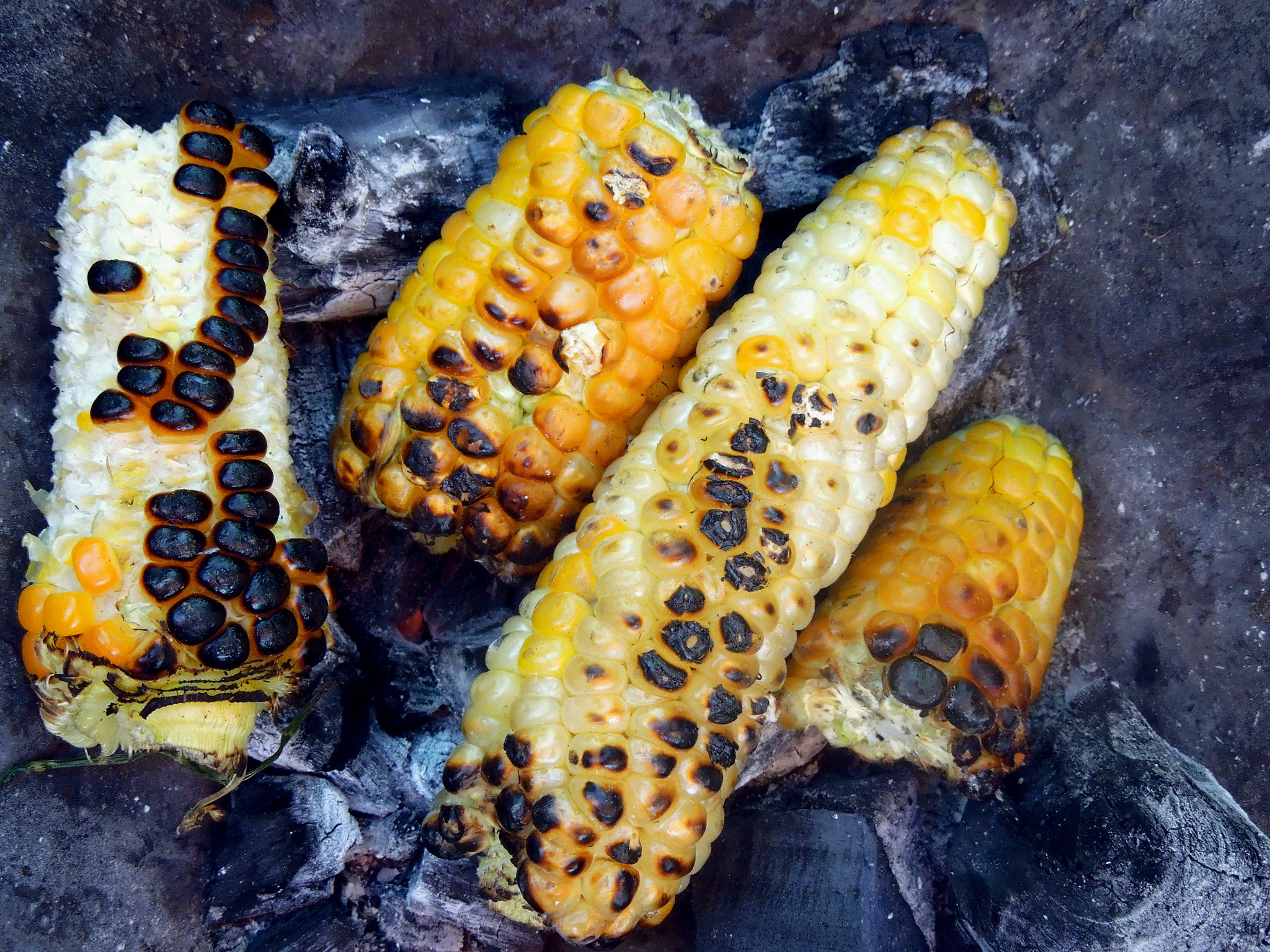 Nikon Coolpix S8200 sample photo. Roasted corn photography