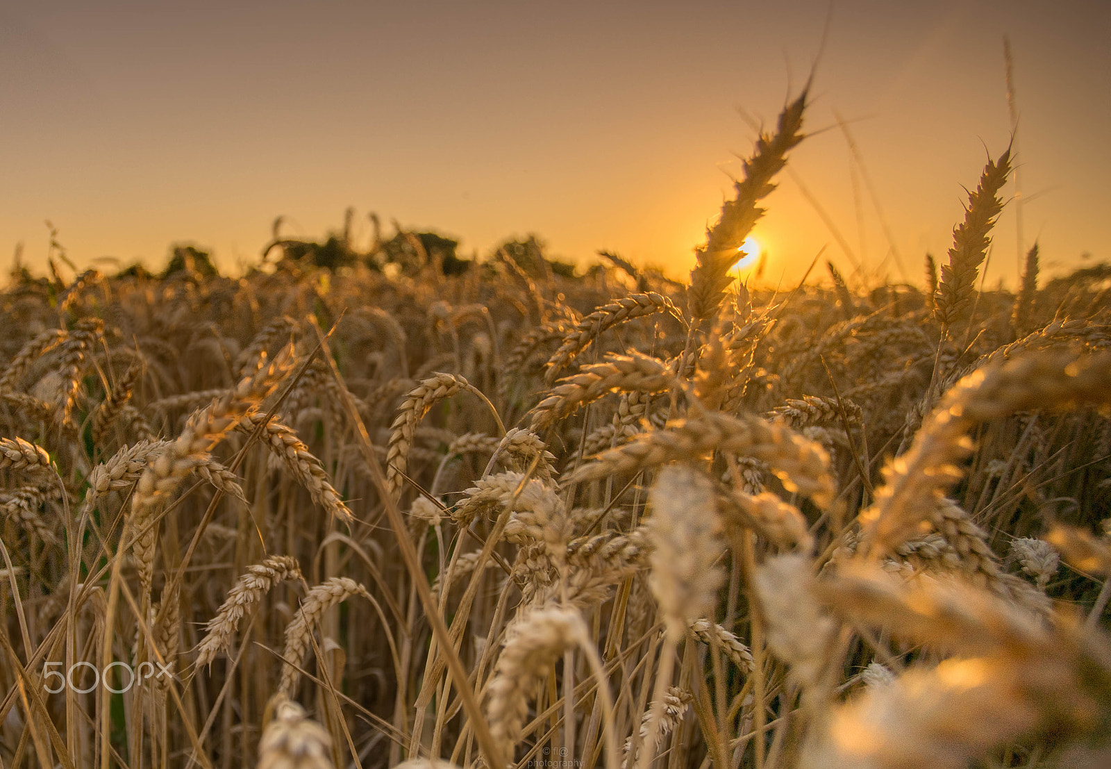 Sony a7 + Canon EF 17-40mm F4L USM sample photo. Hdr photography