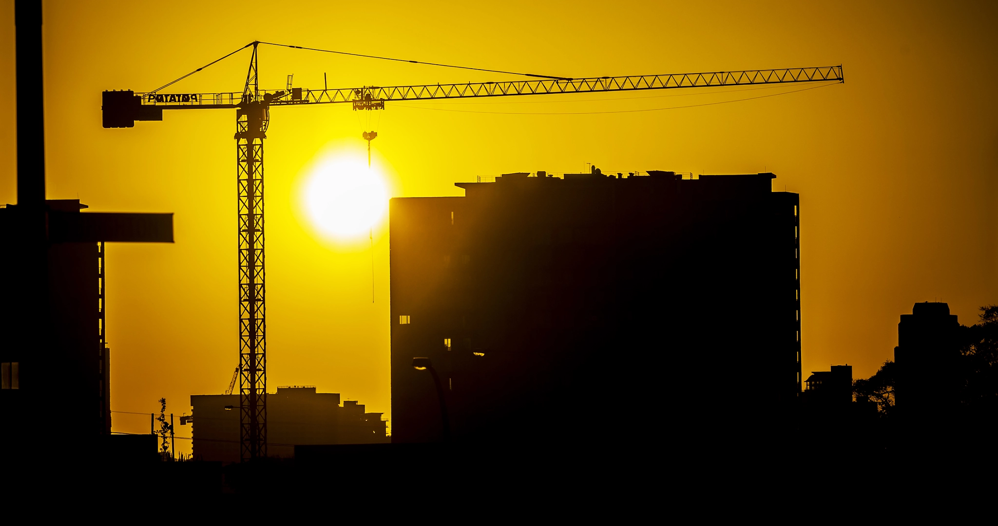 Nikon D4 sample photo. "sunset crane " photography