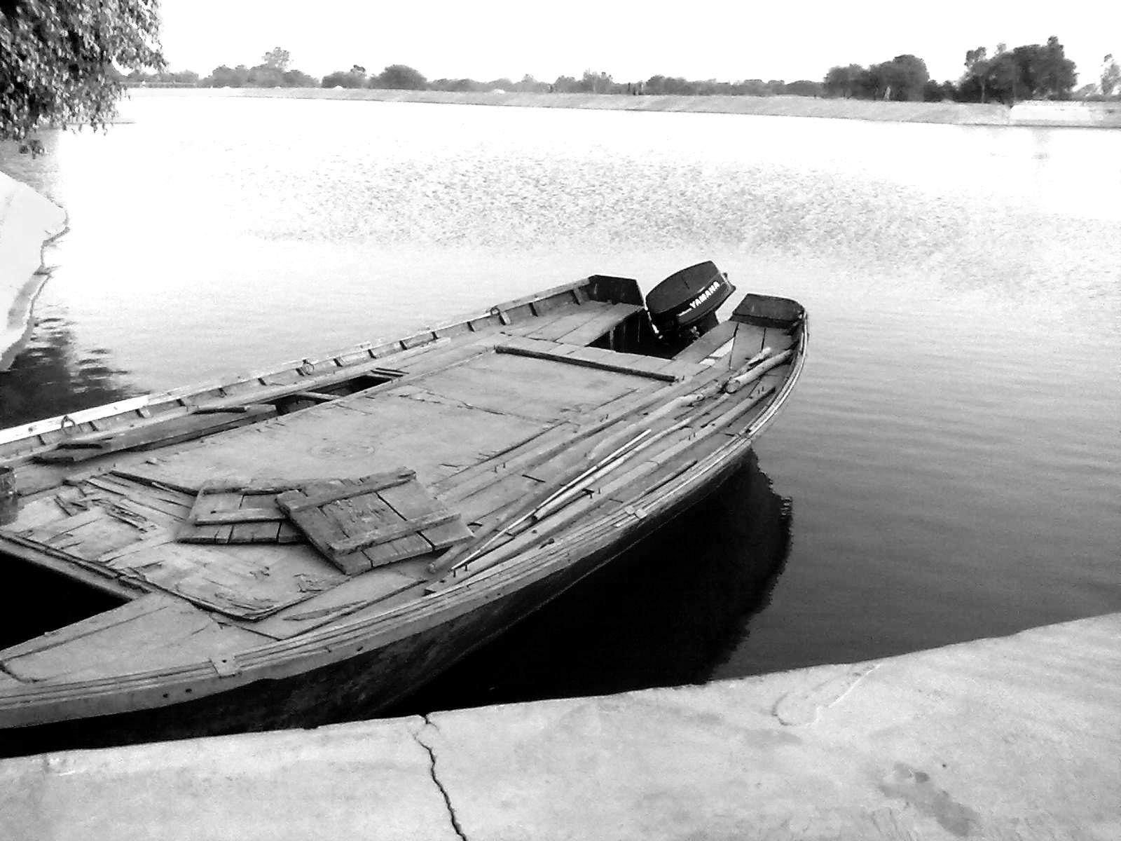 Nokia 5233 sample photo. Copy photography