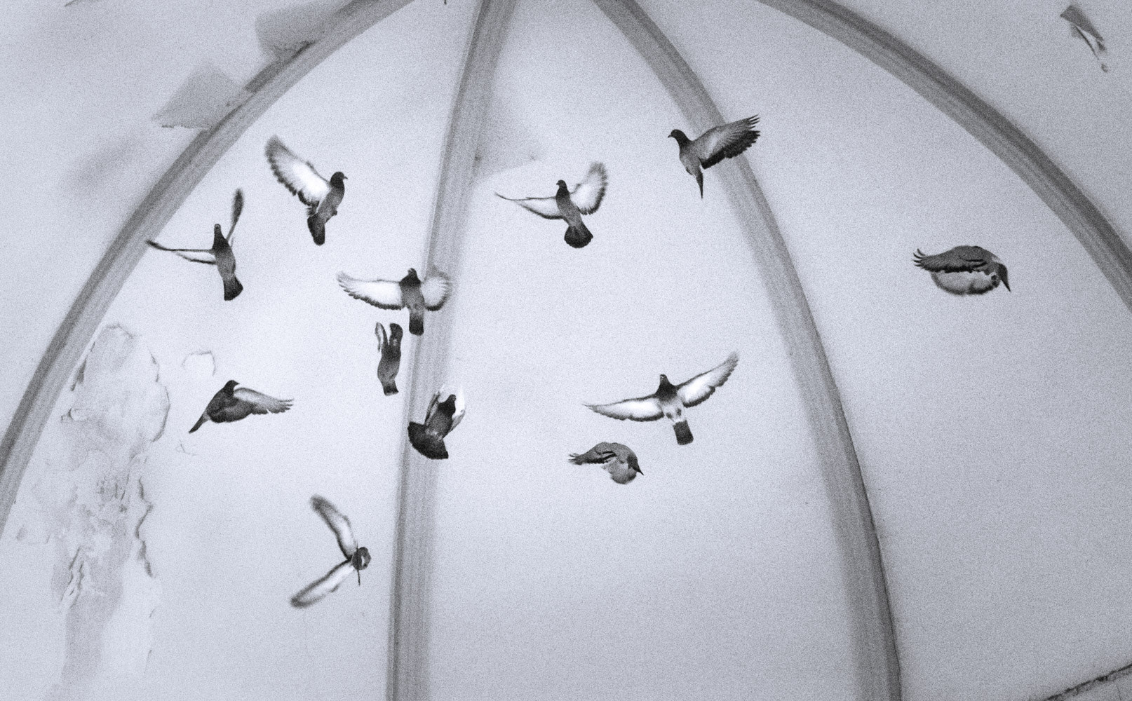 Nikon AF-S Micro-Nikkor 60mm F2.8G ED sample photo. Pigeon church photography