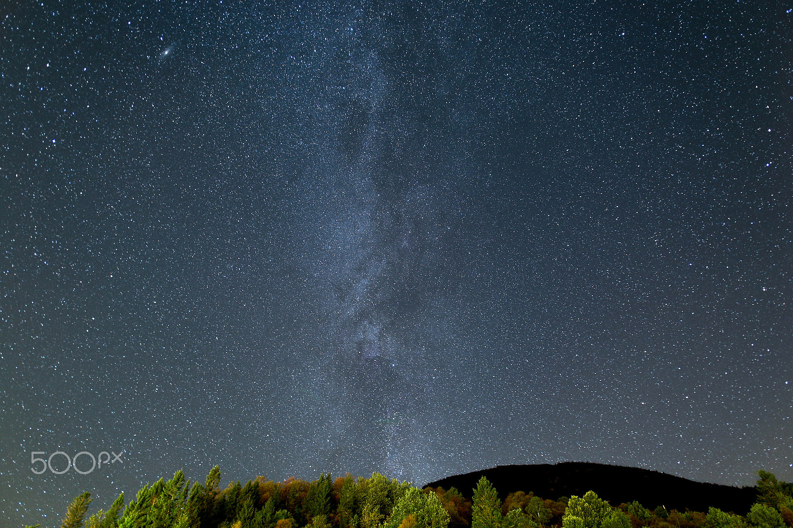 Canon EOS 6D + Sigma 20mm F1.4 DG HSM Art sample photo. In the backyard... photography